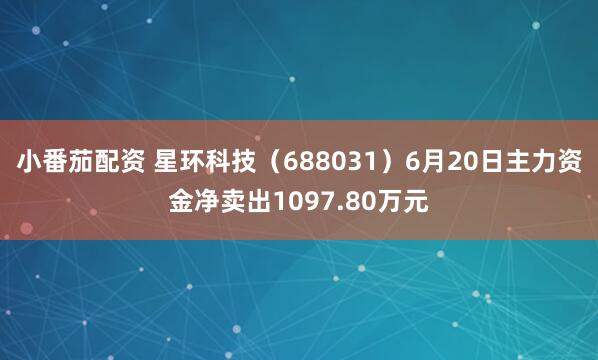 小番茄配资 星环科技（688031）6月20日主力资金净卖出1097.80万元