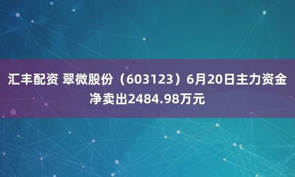 汇丰配资 翠微股份（603123）6月20日主力资金净卖出2484.98万元